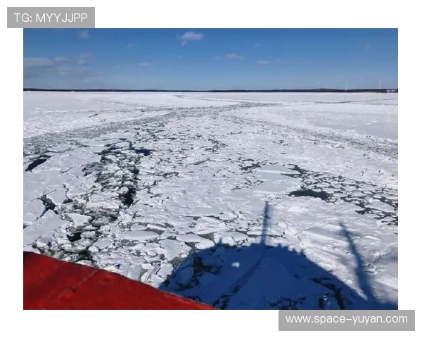 加拿大北极圈小镇举办冰面摔跤节，零下30度照常进行
